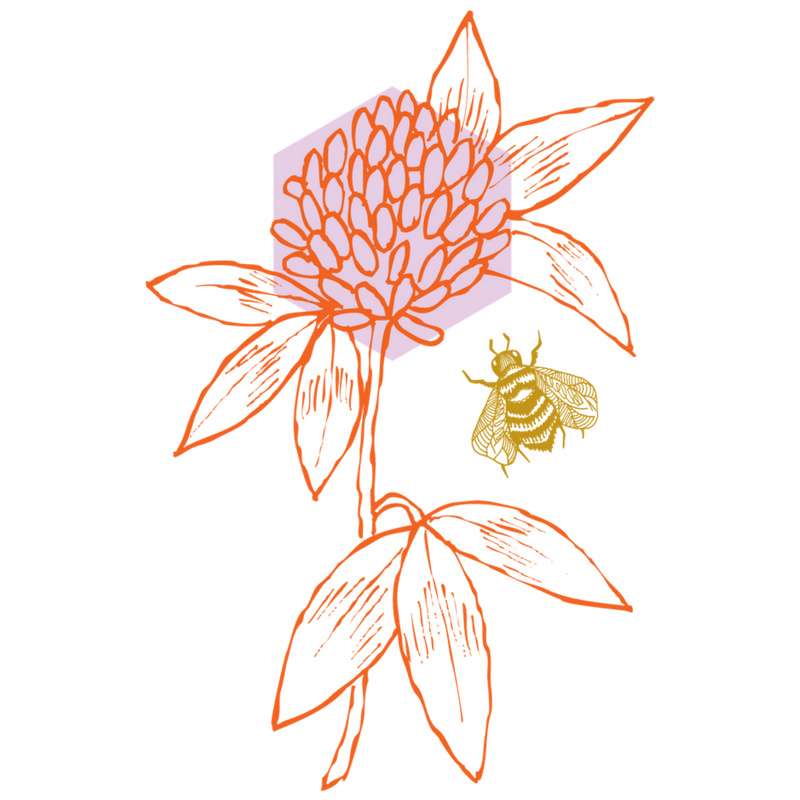 The Clover and the Bee - Logo