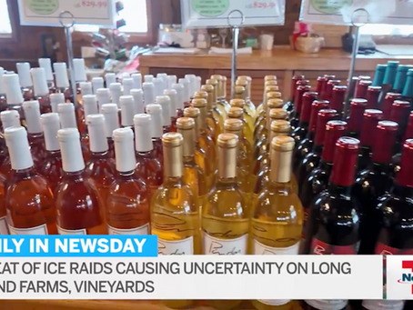 Threat of ICE raids worries Long Island wineries, farms as spring arrives
