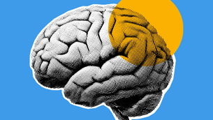 The Science of Conversion: How Psychology Shapes User Behavior on Health Websites