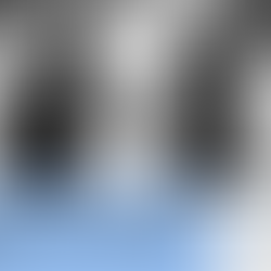 Military Marriage Survival