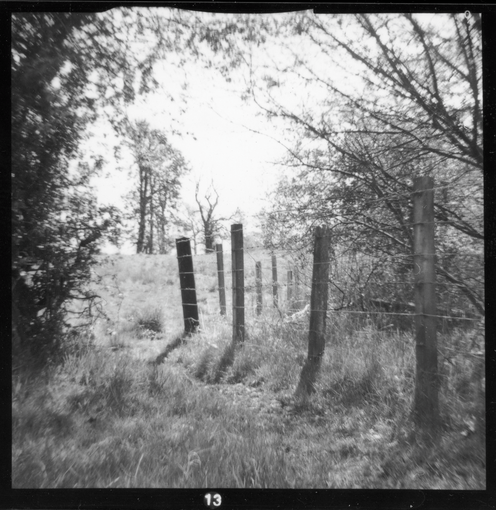 Fence, Polbeth
