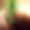 Thumbnail: Rosemary Hair Growth Elixir