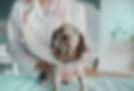 PET 2.0 PMAX 1200x960 2048x2046.jpg