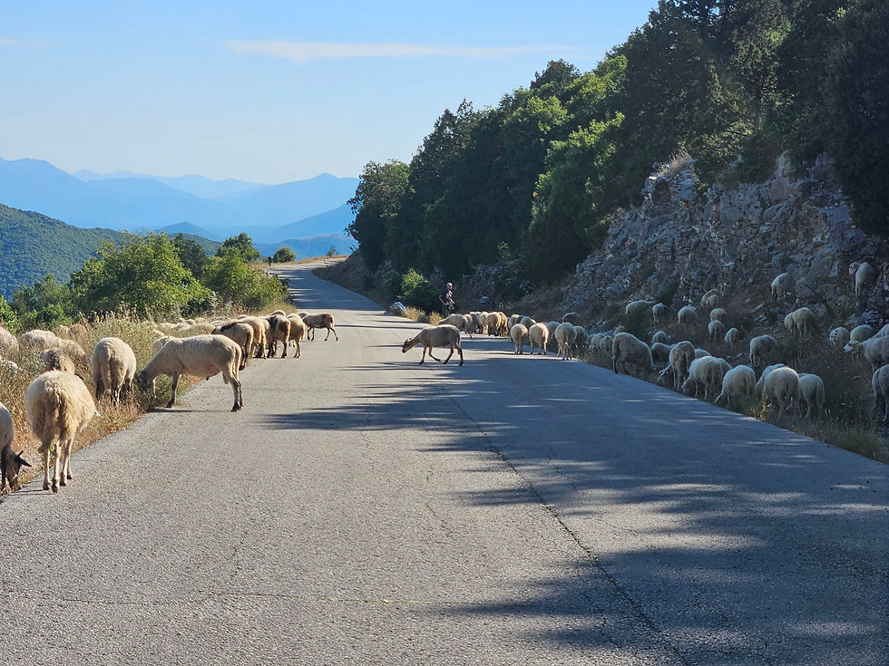 Road Block