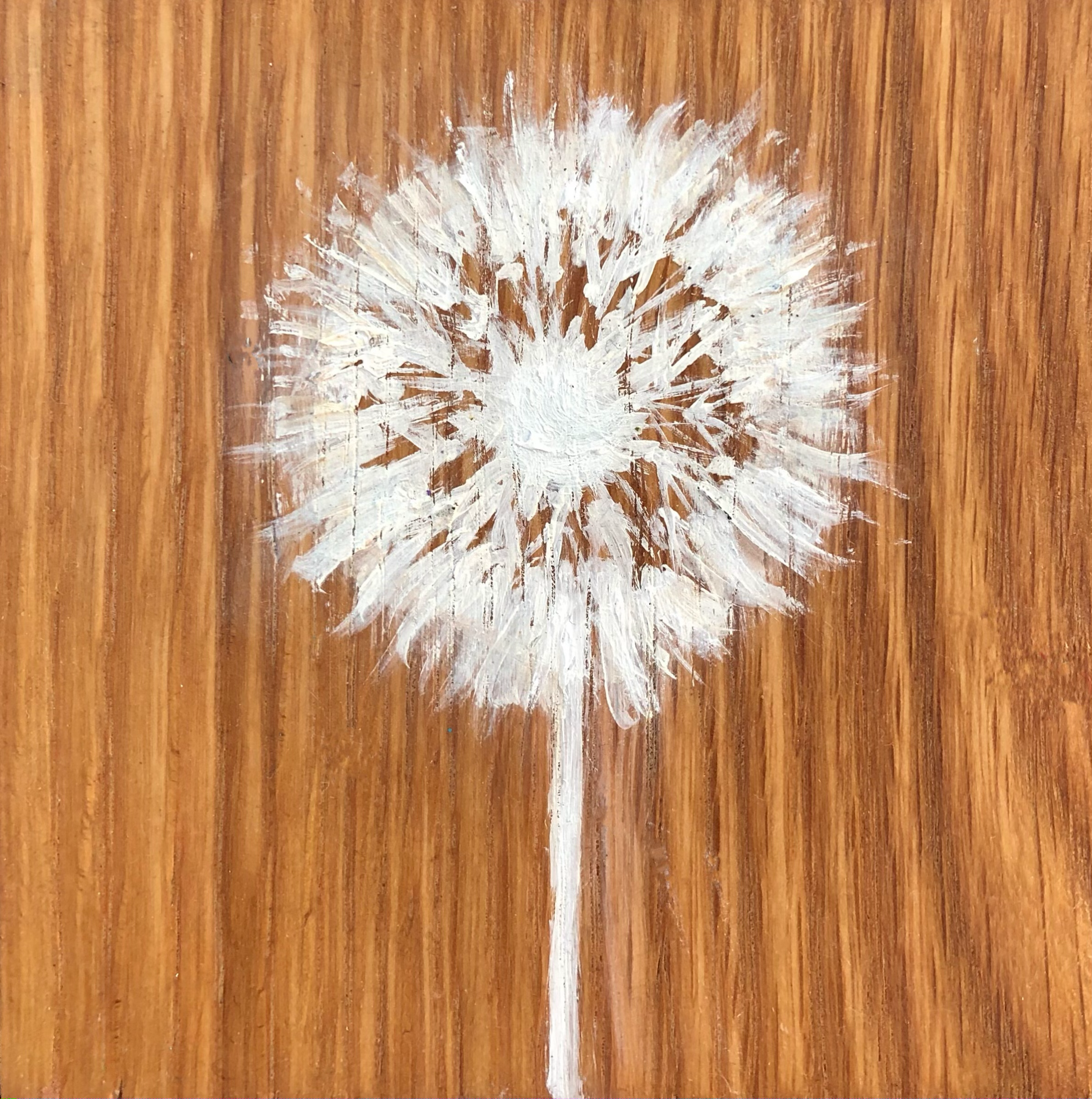 Dandelion III (series 2)
