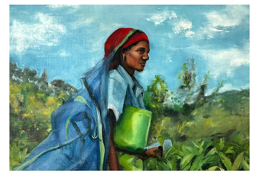 tea picking