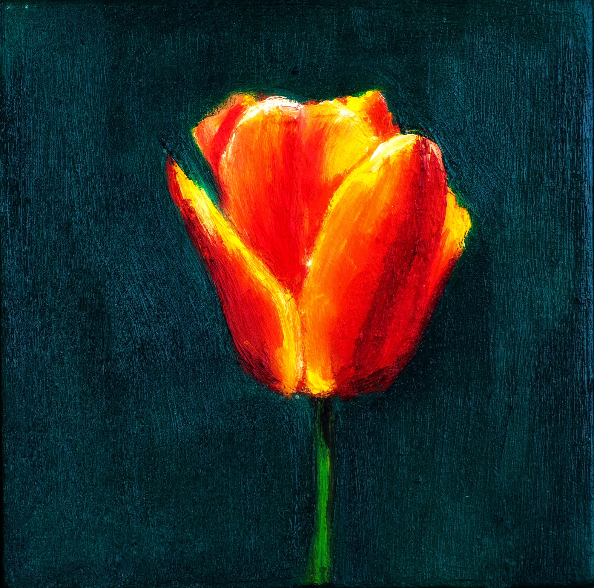 Tulip III