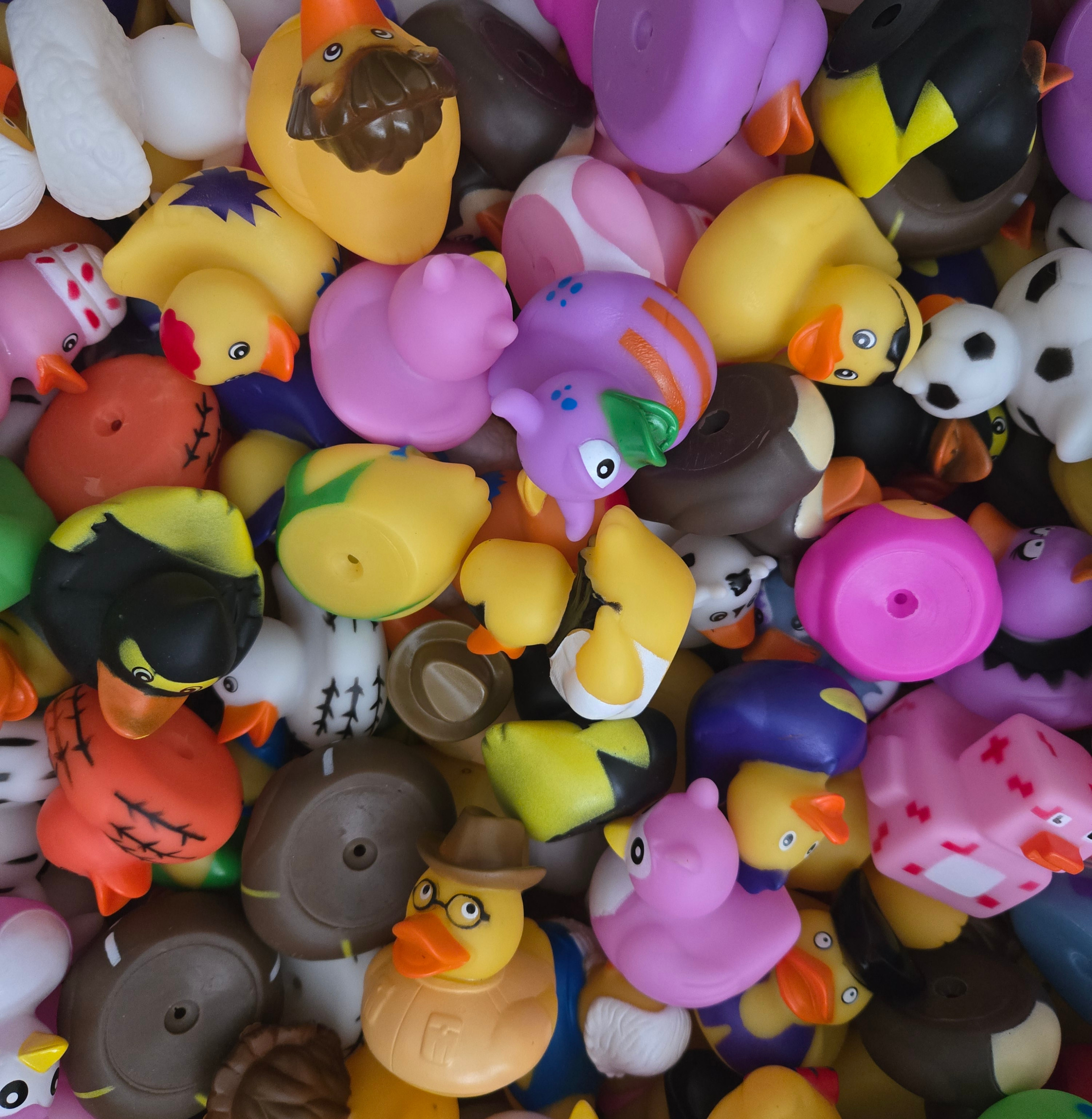 The Whole Flock - 25 Quackers