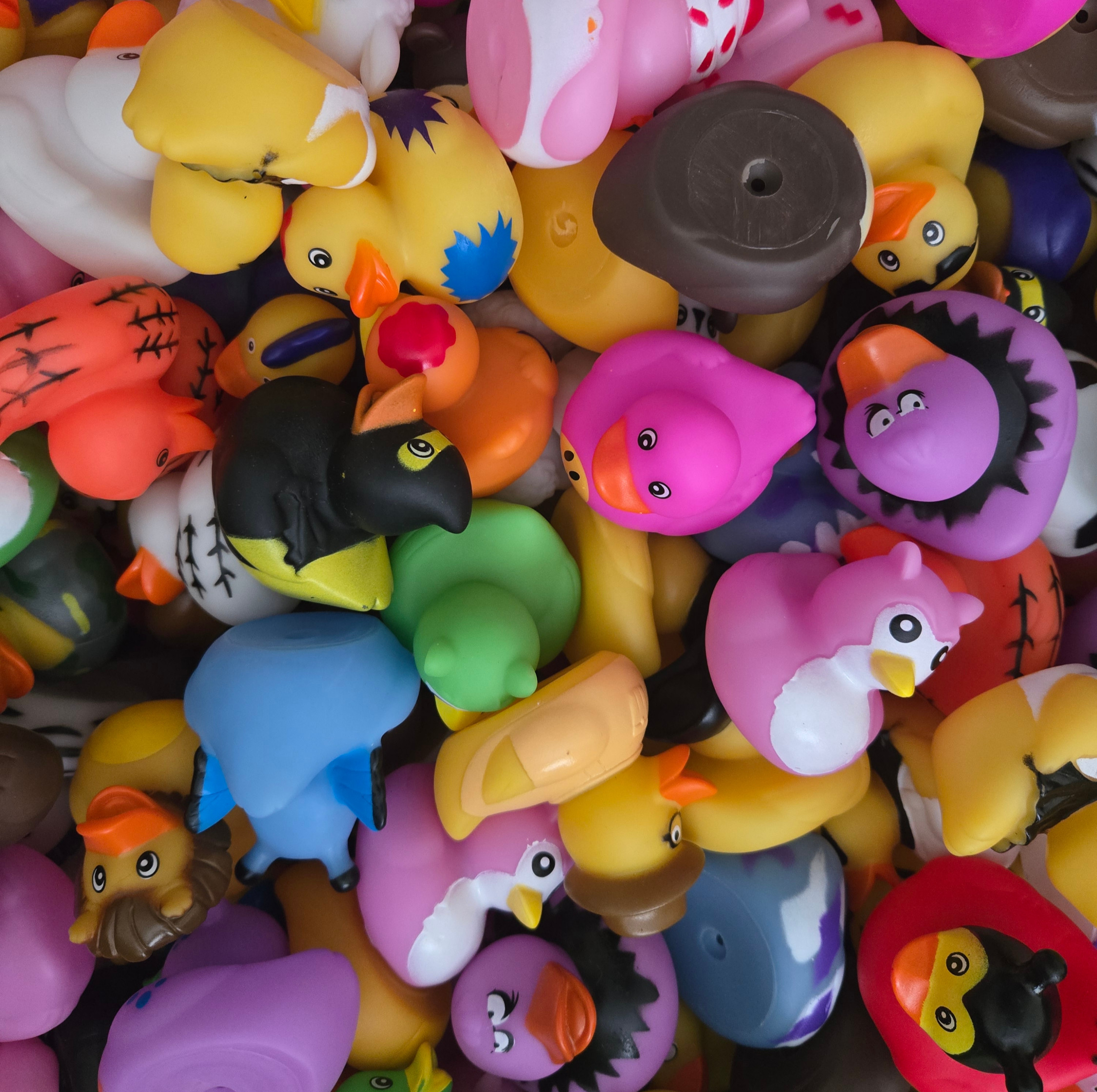 The Duckling Pack - 5 Quackers
