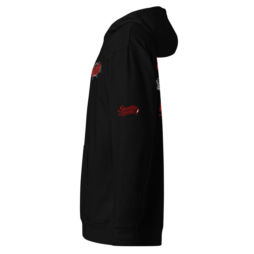 Thumbnail: The Stealth Mode midweight hoodie
