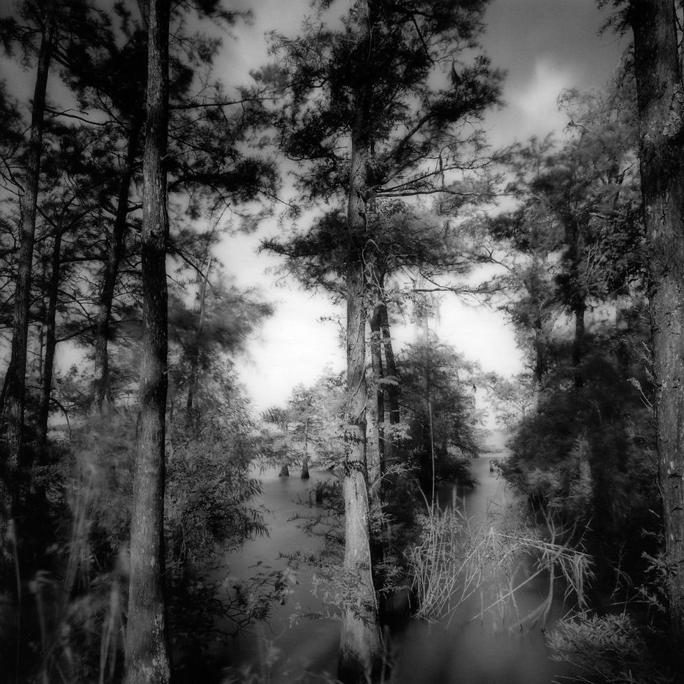 Lake Anahuac 5 - Still Water