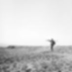 Along the River Bank