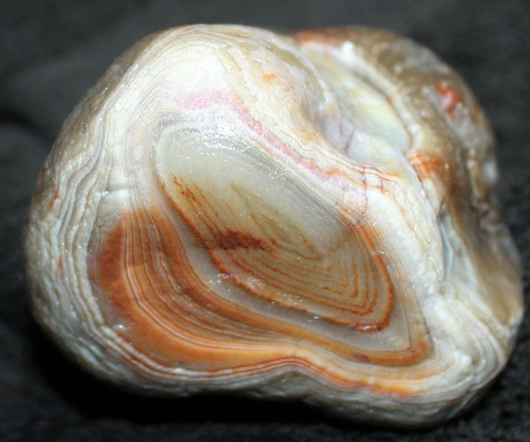 Thumbnail: 13.6 Oz Smooth Husk Pastel Colors SWEET Display Laker