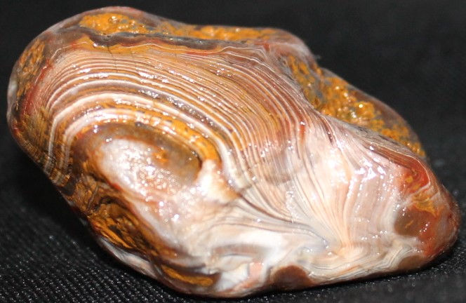 Thumbnail: 7.1 Oz Bright Contrast BEAUTY Laker