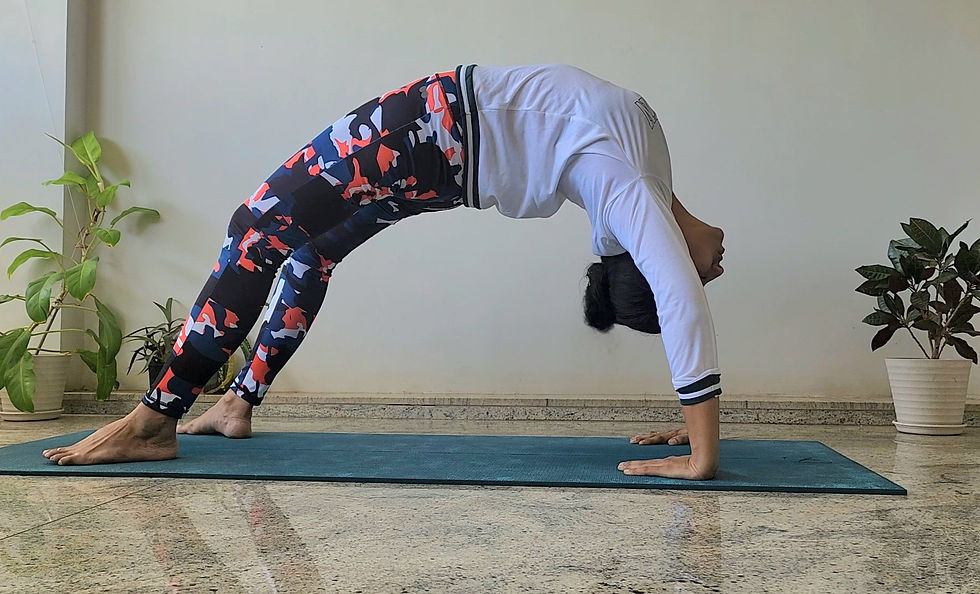 Eye-level view of a person practicing yoga on a wooden deck surrounded by nature