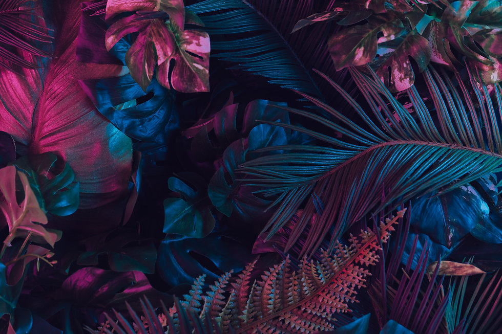 AdobeStock_251353227.jpeg