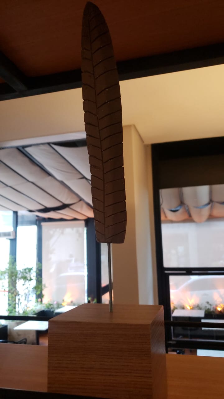 Série Folhas