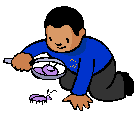 BB_bug.gif