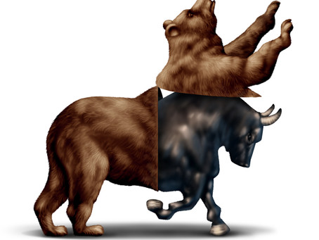 Why is the Stock Market Rising Against All the Odds?
