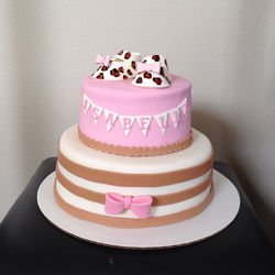 Leopard Print Baby Booties Shower