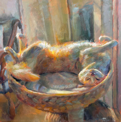 Pet portrait of a cat in the sun.