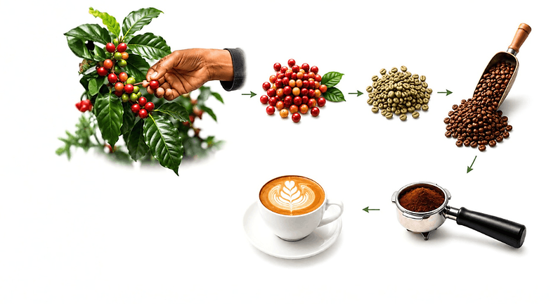 combo OFFER (1).png