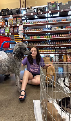 pet food express event image 4.jpg