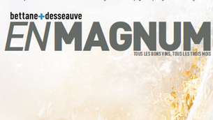 Domaine Michel Arcelain, viticulteurs situés à Pommard sur la côte de Beaune en Bourgogne: vins de Pommard, Beaune et Bourgogne, Beaune 1er Cru "Clos Des Mouches"