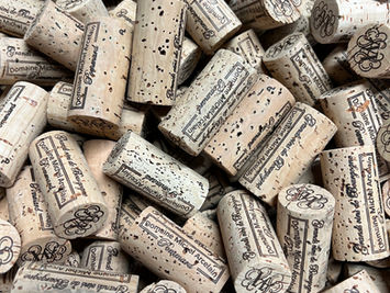 Domaine Michel Arcelain, winegrowers located in Pommard on the Côte de Beaune in Burgundy: Pommard, Beaune and Burgundy wines, Beaune 1er Cru "Clos Des Mouches"