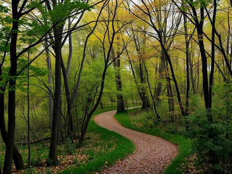 Enhancing Healing Step by Step with Walk-and-Talk Therapy  