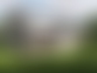 Newsletter 22