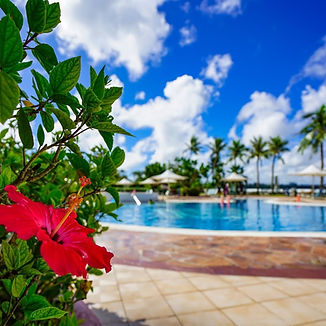 Pool Deck.jpg