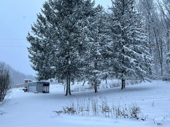 Weatherized coop in winter
