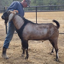 JAMMER 2YRS_edited.jpg