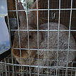 IMG_20230408_142359378_edited.jpg