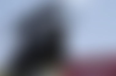 Banderilla de Oro at La México