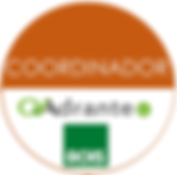 Logos QAdrante - ACHS-coordinador.png