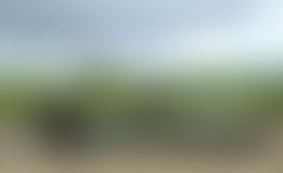 Continúan las jornadas de siembra de árboles en el Valle del Cauca.