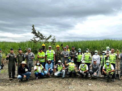 Continúan las jornadas de siembra de árboles en el Valle del Cauca.