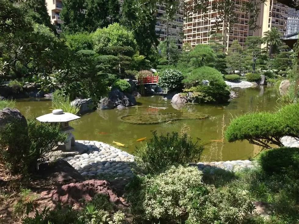 Montecarlo, le jardin Japanese