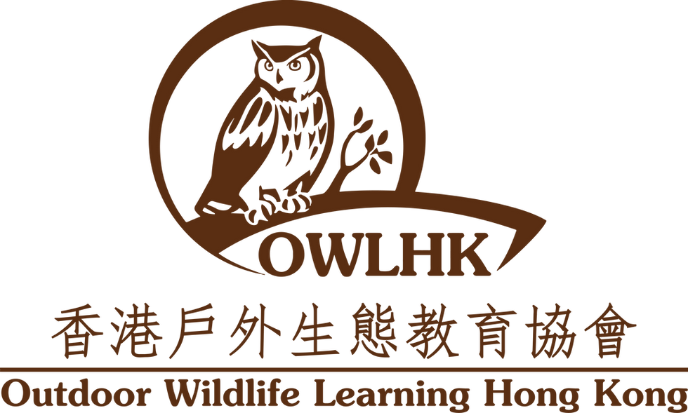 OWLHK_Primary Logo_4556px x 7585px_20250730.png