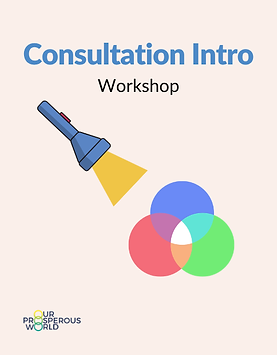 Consultation Introduction