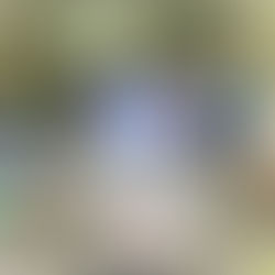 A Plane Full of Cooking Pots!