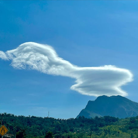 An Eye-Opening Road Trip