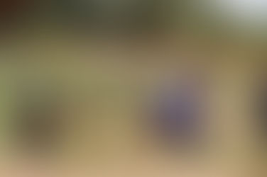 Hope Amid the Drought: How an Ugandan Farmer Feeds his Community