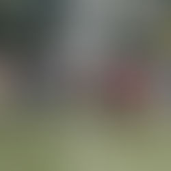 A Garden to Remember