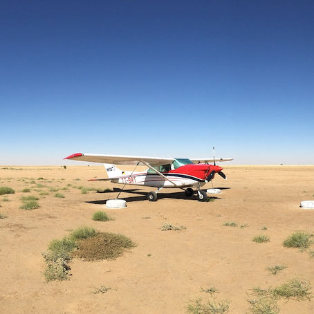 Shining a Light in the Darkness