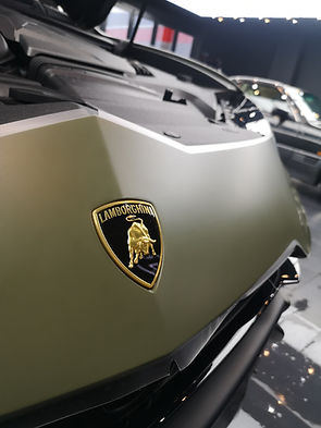 MATTE PPF LAMBO.jpg