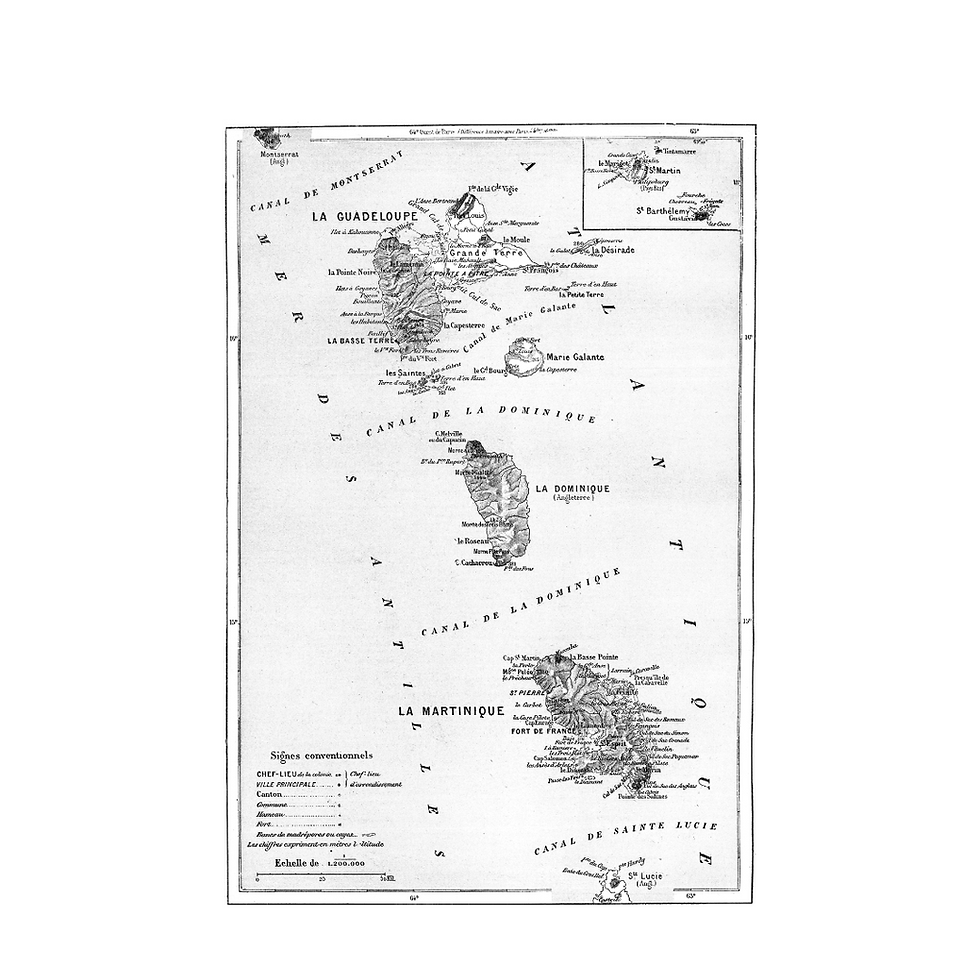 Why would you learn French-based Creole ?
