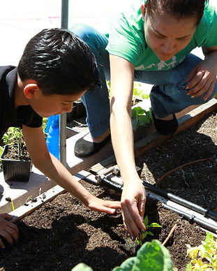 Valley Verde_(c)_Whitney Flanagan2018042